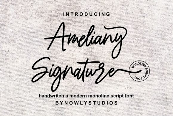 Choosing Ameliany Signature: An Editorial Designer's Story