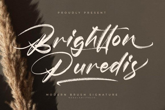 Choosing Brightton Puredis for Editorial Character
